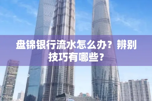 盘锦银行流水怎么办？辨别技巧有哪些？